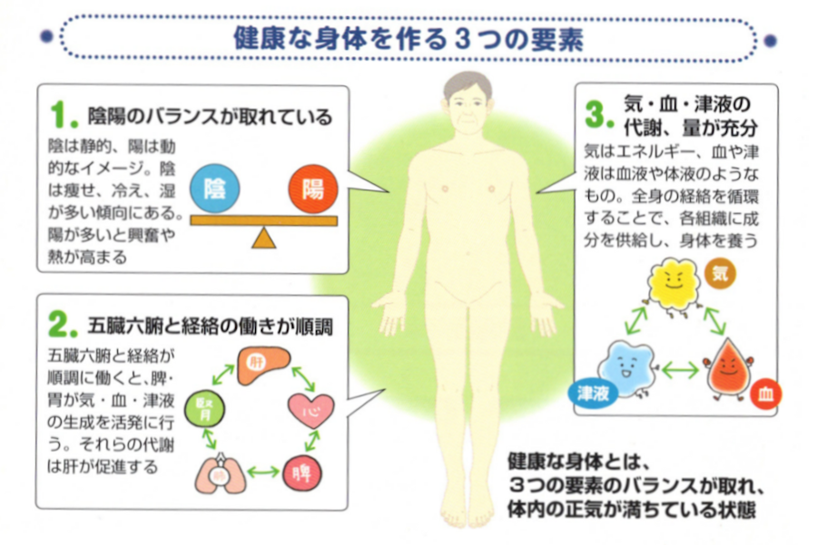 健康な身体