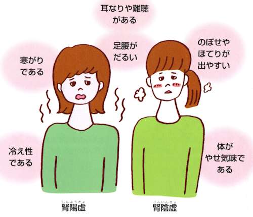 腎陽虚