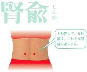 腎兪