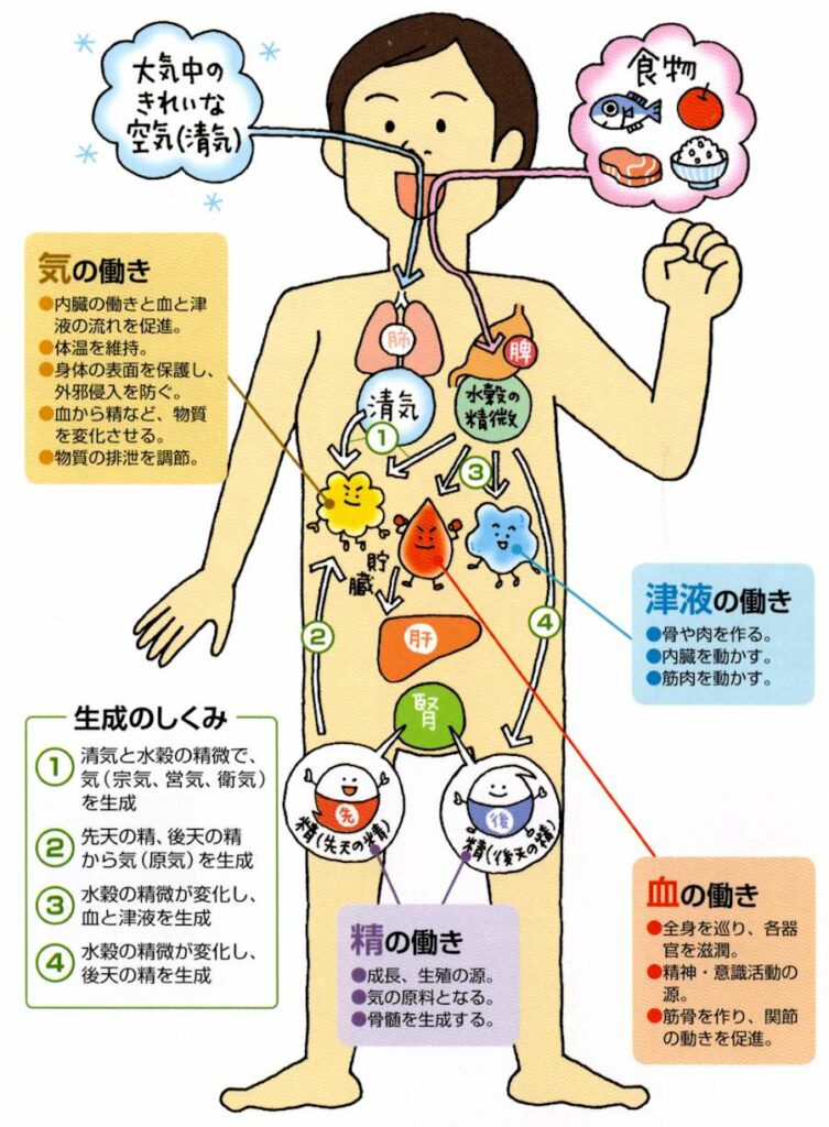 気血津液