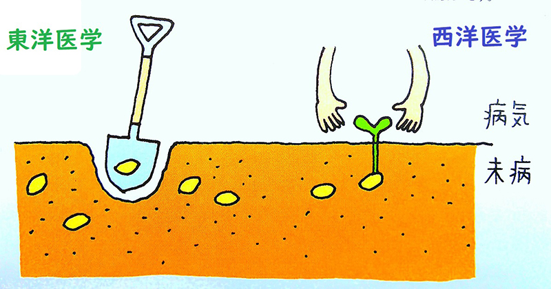 東洋医学と西洋医学