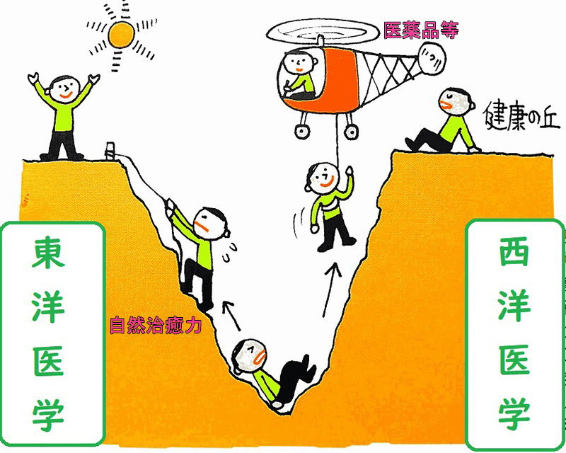 東洋医学と西洋医学